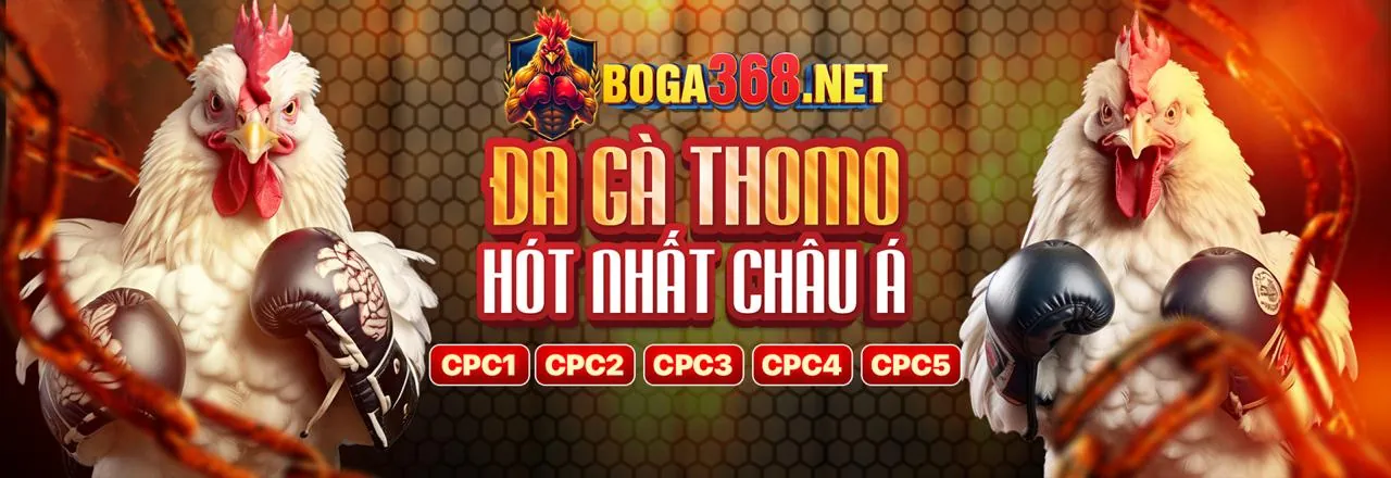 Hình ảnh chính: Người chơi tận dụng win5501 khuyến mãi để thắng lớn