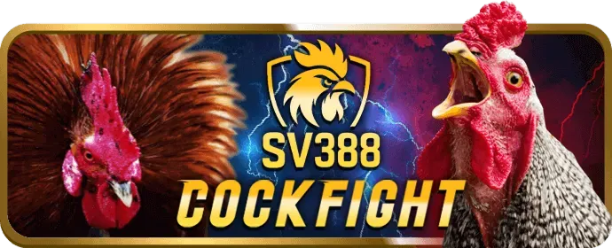 Đọc kỹ điều khoản Win5501 khuyến mãi